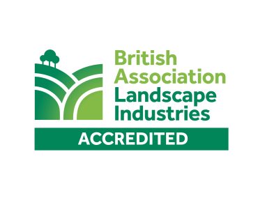 BALI Accredited primary logo BALI Accredited primary logo